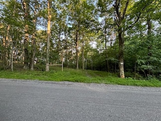 0 Ellison Ridge Rd, Flat Top, WV 25841