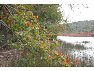 tbd Stocker Pond, Grantham, NH 03753