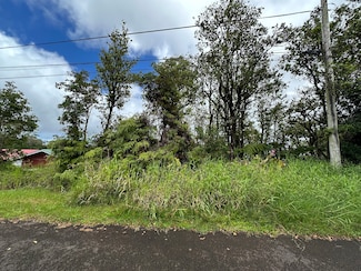 25-82 Malumalu St, Hilo, HI 96720