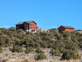 17421 Poza Rica Rd, Fort Garland, CO 81133