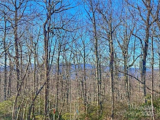 13 Rolling Ridge Trail, Black Mountain, NC 28711