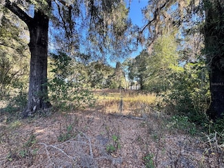 17901 NE 18th Ave, Citra, FL 32113