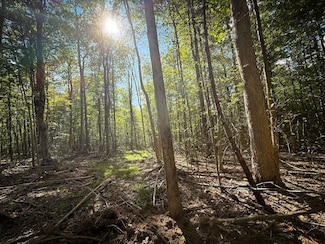 0 Hollister Rd Unit 24708667, Freeville, NY 13068