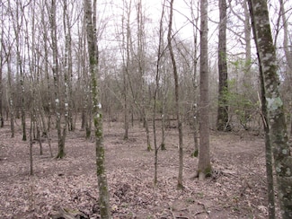 0 N Hwy 167 Unit Lot WP001 8214133, Fordyce, AR 71742