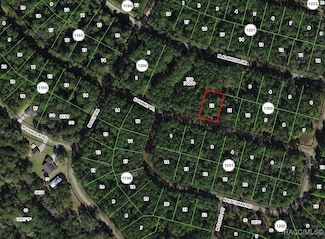 1311 E Urmey Place, Dunnellon, FL 34434