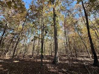 3701 State Hwy 132, Oneonta, AL 35121