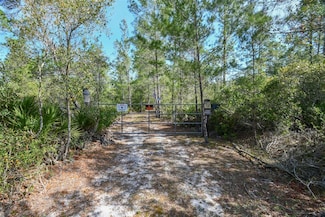 905 Still Rd, Pierson, FL 32180