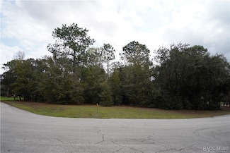 1159 N Nashua Terrace, Citrus Hills, FL 34453