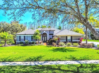 7546 Dunbridge Dr, Odessa, FL 33556