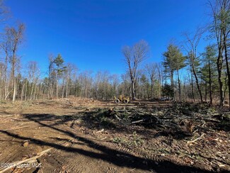 L19.5 Brookline Rd, Ballston, NY 12020