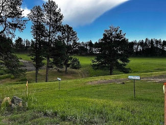 Blk 6 Lot 8 & 9 Other Unit TBD Lakewood Court, Hill City, SD 57745