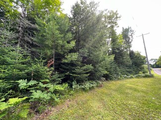 LT 2 632 Mercer Lake Cr N, Mercer, WI 54547