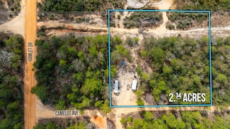 Lots 4 & 5 Camelot Ave, Defuniak Springs, FL 32433