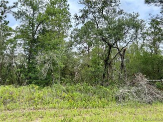 1231 W Nankeen Dr, Pine Ridge, FL 34434