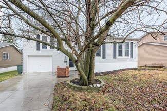6566 Borr Ave, Reynoldsburg, OH 43068