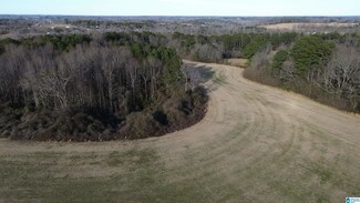 0 County Road 545 Unit 1, Hanceville, AL 35077