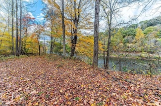 TBD Bortz Mine Rd, Point Marion, PA 15451