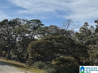 0 Silver Cir Unit 21435227, Jacksonville, AL 36265