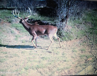 001 Farr Rd, Bolton, MS 39041