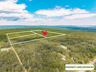 X Stanley Rd, Lake No. 2, MN 55616