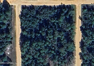 0 Schaffer St, Interlachen, FL 32148
