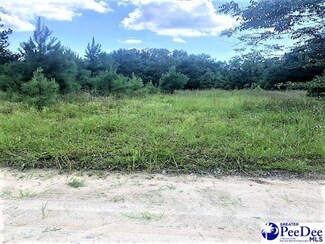 TBD Maggie Loop, Mullins, SC 29574