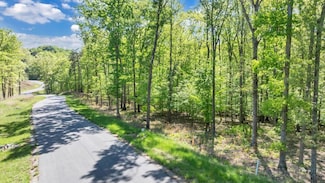 Lot 8 Red Barn Ln, Wirtz, VA 24184