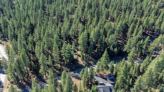 12062 Saddleback Dr, Truckee, CA 96161