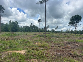 0 County Road 3665, Queen City, TX 75572