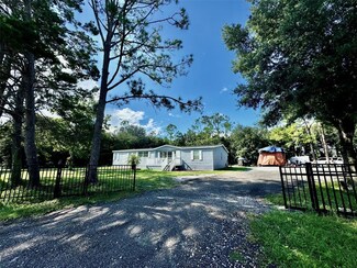 30313 Chapel Dr, Wesley Chapel, FL 33545