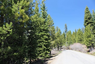 NF-348 Road (Road 212) Pasley, Paisley, OR 97636