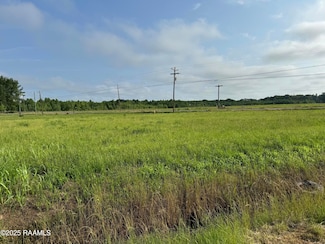 0 Harold St Unit 1c/3 2500000192, Opelousas, LA 70570