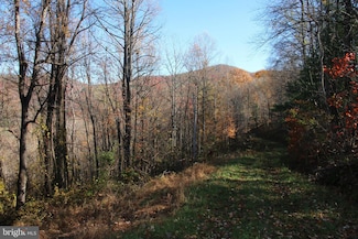 0 Overlook Mountain Rd Unit VAPA2005566, Elkton, VA 22827