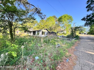 260 Marla Ave, Jackson, MS 39204