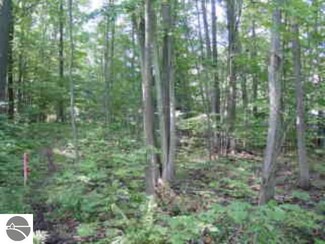 0 Tonawanda Rd Unit F 1703792, Grawn, MI 49637
