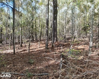 13561 Fondren Rd, Northport, AL 35475