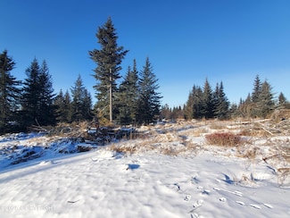 17455 Chefornak St, Happy Valley, AK 99639
