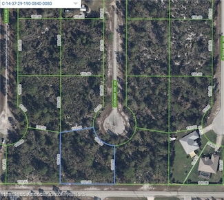 225 Debonair Way NW, Lake Placid, FL 33852