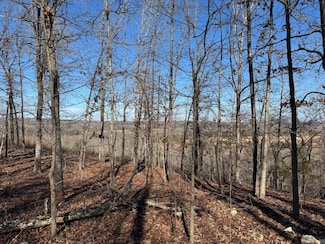 60 B Tablerock Rd, Evening Shade, AR 72532