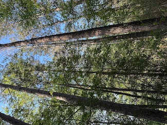 County Road 19, Taylorsville, MS 39168