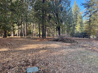 6364 Green Leaf Ln, Foresthill, CA 95631