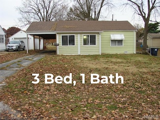 206 N Walnut St, Mount Olive, IL 62069