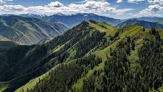 673 Race Creek Rd, Riggins, ID 83549