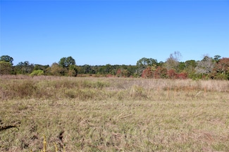 TBD Winfrey Rd, Coldspring, TX 77331