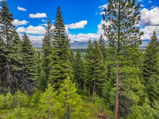 532 Osprey View Dr Unit 48, McCall, ID 83638