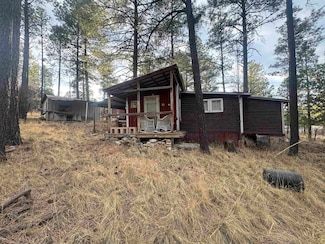 29 Circle Dr, Mayhill, NM 88339