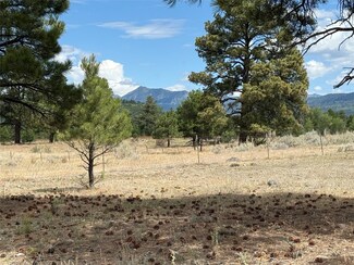 0 Thistle Loop Unit 202503287, Chama, NM 87520