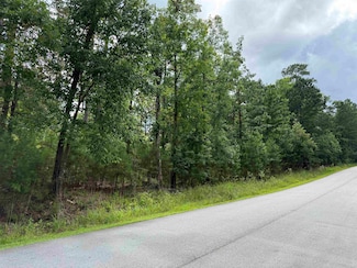 1041 Glen Eagle Dr, Greensboro, GA 30642