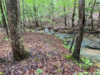 0 Far-A-way Rd Unit 1026251, Elberton, GA 30635