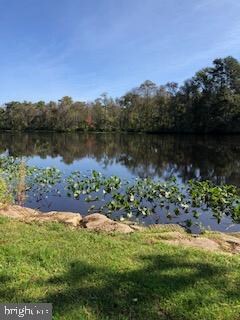 0 Pocomoke River Rd, Pocomoke City, MD 21851